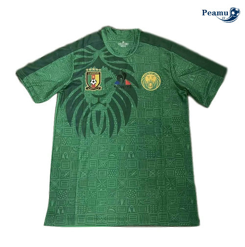 Maillot foot Cameroun Domicile Verde Noiratre 2019-2020