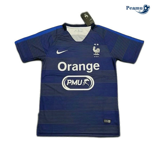 Maillot foot France training Bleu navy 2019-2020