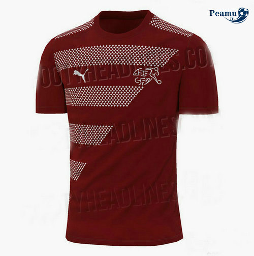 Maillot foot Suisse Domicile UEFA Euro 2020-2021