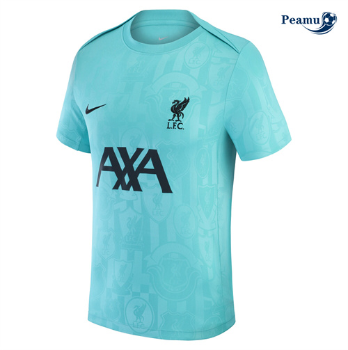 Maillot foot Liverpool Pre-Match 2024-2025