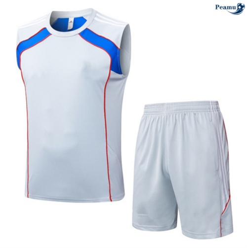 Maillot foot Kit Entrainement Bayern Munich Debardeur + Shorts Gris/Bleu 2025-2026 peamu 0082