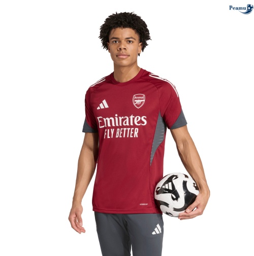 Maillot foot Arsenal maillot Training Rouge 2025-2026