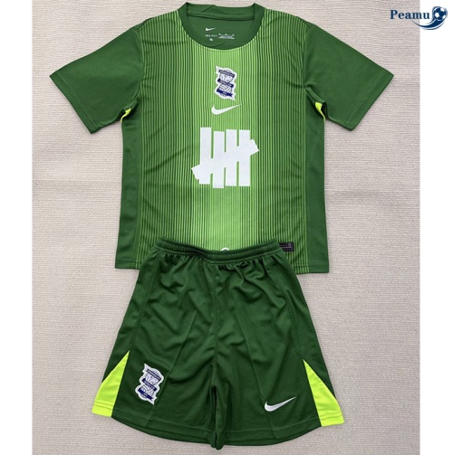 Maillot foot Birmingham City Enfant maillot Gardien De But Vert 2025-2026