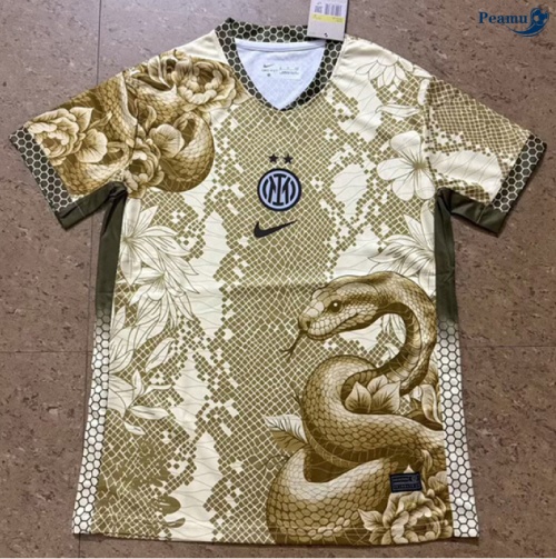 Maillot foot Inter Milan maillot Spécial 2025-2026