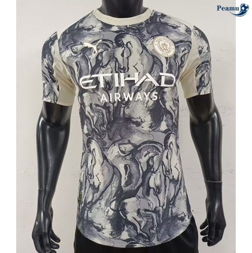 Maillot foot Manchester City Player maillot Spécial 2025-2026