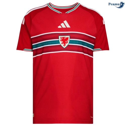 Maillot foot Pays de Galles Domicile 2026-2027