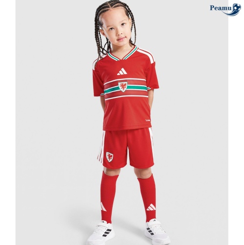 Maillot foot Pays de Galles Enfant Domicile 2026-2027