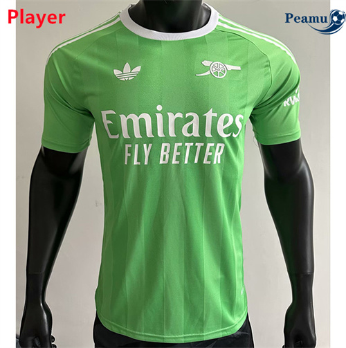 Maillot foot Arsenal Player Gardien de but Vert 2025-2026