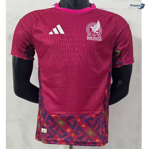 Maillot foot Alemania Player Gardien De But Rouge 2026-2027