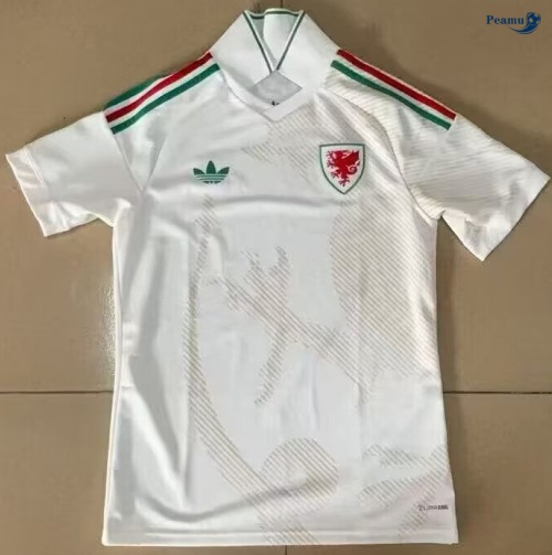 Maillot foot Pays de Galles Exterieur 2026-2027