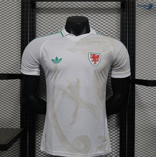 Maillot foot Pays de Galles Player Exterieur 2026-2027