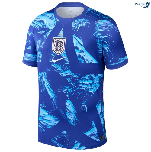 Maillot foot Angleterre Gardien De But 2026-2027