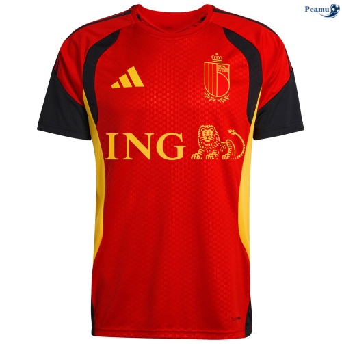 Maillot foot Belgique Training Rouge 2026-2027