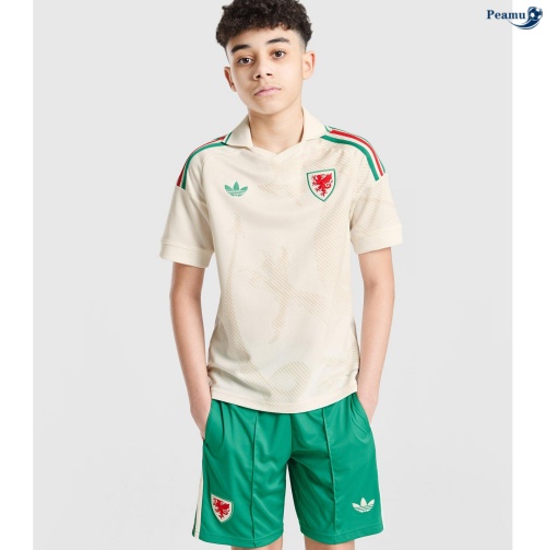 Maillot foot Pays de Galles Enfant Exterieur 2026-2027